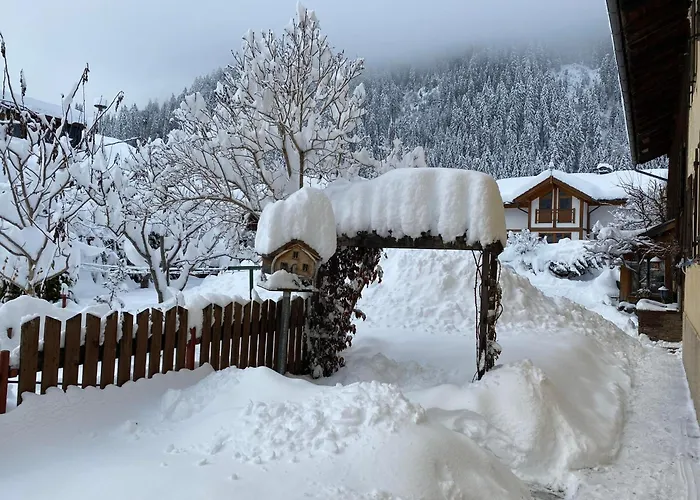 Haus Carolus Apartment