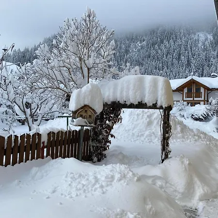 Haus Carolus Apartment