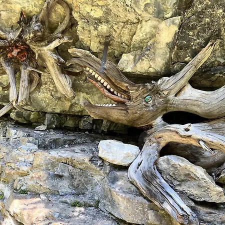 Haus Carolus Apartment