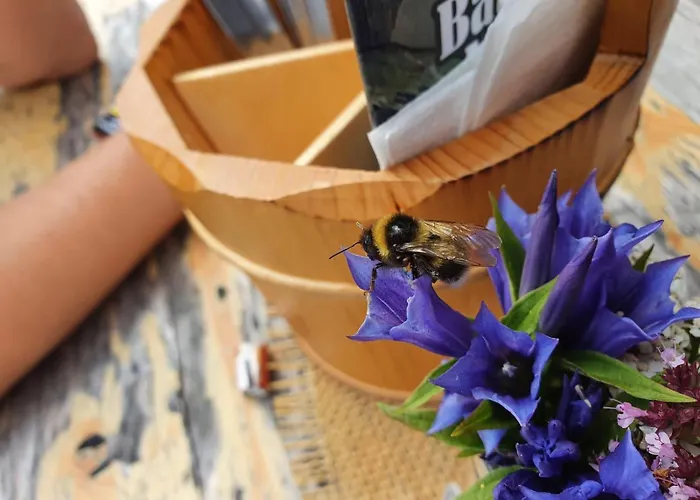 Haus Carolus Apartman *