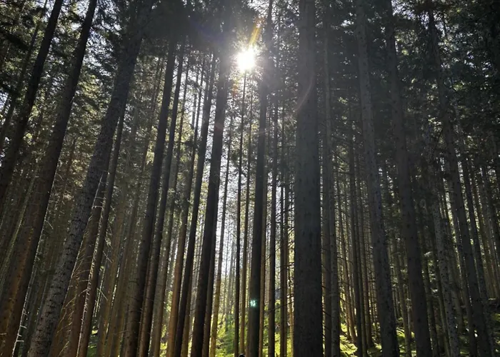 Haus Carolus Apartman