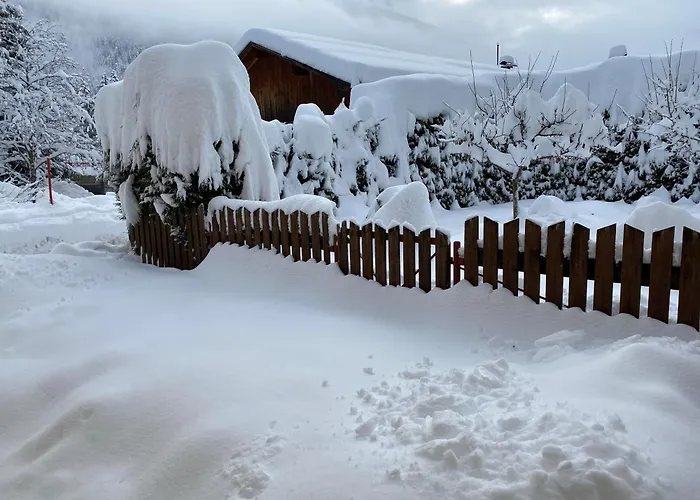 Haus Carolus * Elbigenalp