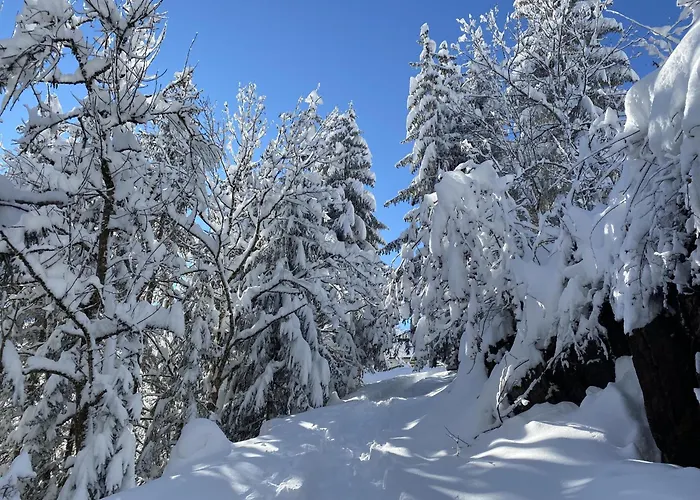 Apartamento Haus Carolus *